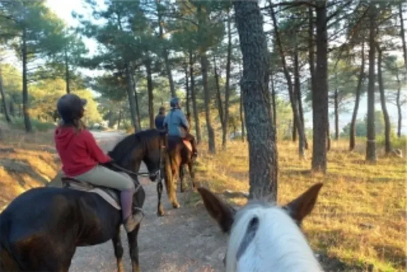 Rutas a caballo — imagen 1