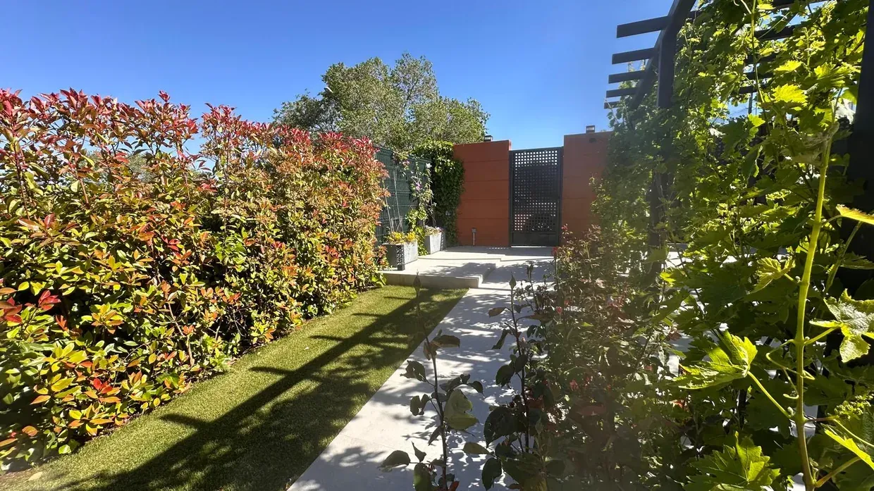 Vivienda pareada en Los Ángeles de San Rafael — imagen 3
