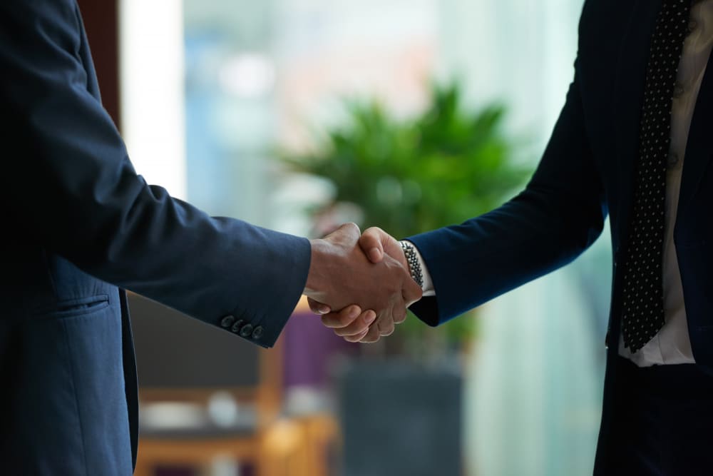Acuerdo profesional — alianza estratégica